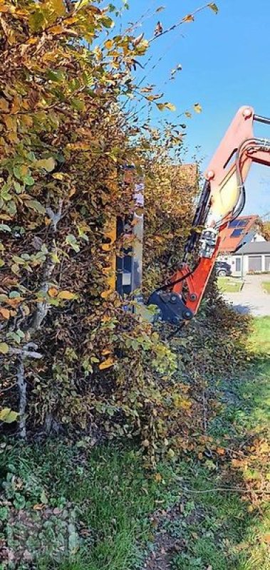 Astschere del tipo Sonstige Astschere Baumschere Heckenschere Baumsäge, Gebrauchtmaschine en Schmallenberg (Imagen 3)