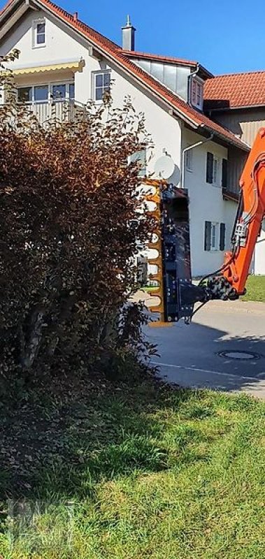 Astschere del tipo Sonstige Astschere Baumschere Heckenschere Baumsäge, Gebrauchtmaschine en Schmallenberg (Imagen 2)