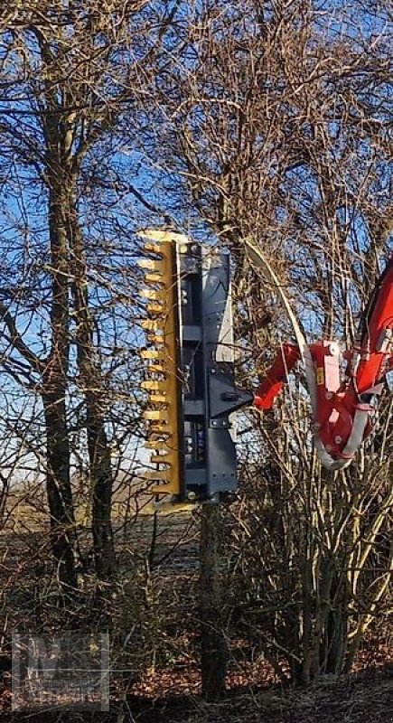 Astschere du type Sonstige Astschere Heckenschere Baumsäge Baumschere Schere, Gebrauchtmaschine en Schmallenberg (Photo 3)
