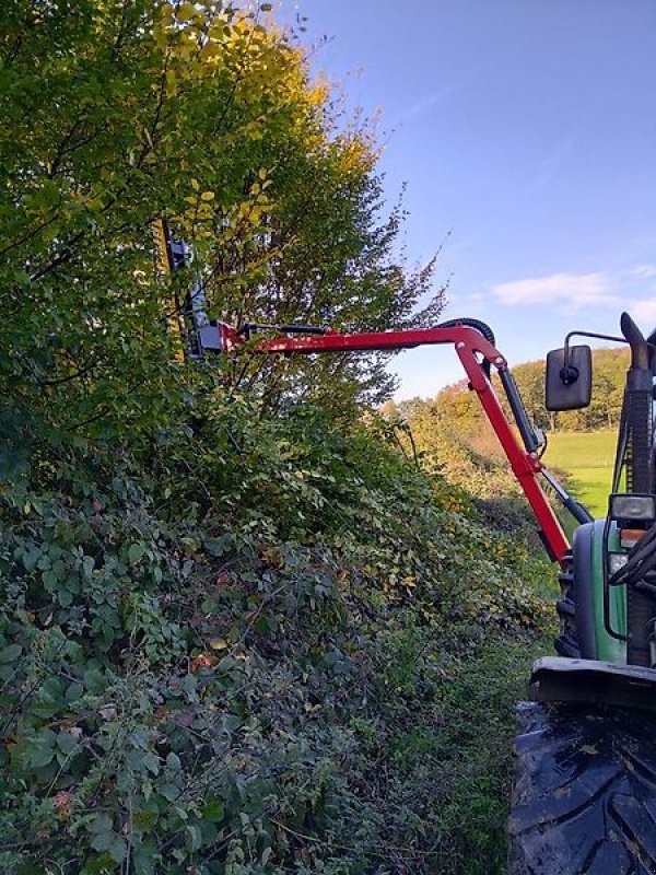 Astschere des Typs Sonstige Astschere Heckenschere Baumschere Baumsäge Wallheckenschere, Gebrauchtmaschine in Schmallenberg (Bild 9)