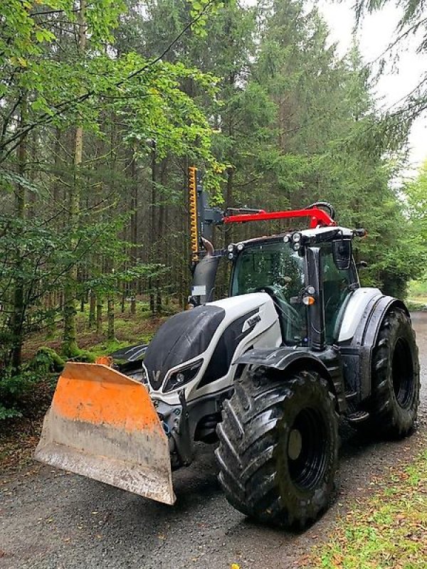 Astschere типа Sonstige Astschere Heckenschere Baumschere Baumsäge, Gebrauchtmaschine в Schmallenberg (Фотография 3)