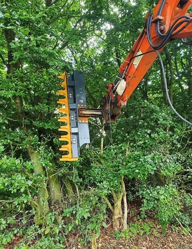 Astschere typu Sonstige Astschere Heckenschere Baumschere Baumsäge, Gebrauchtmaschine v Schmallenberg (Obrázek 4)