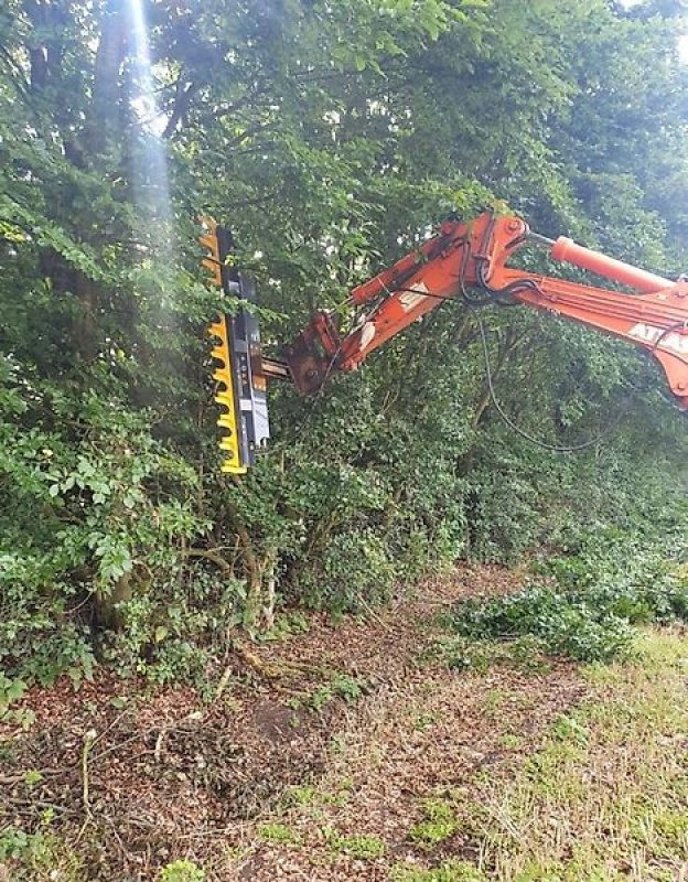 Astschere typu Sonstige Astschere Heckenschere Baumschere Baumsäge, Gebrauchtmaschine v Schmallenberg (Obrázek 2)
