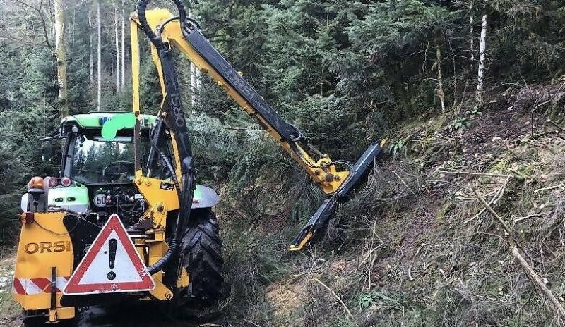 Astschere του τύπου Sonstige Astschere Heckenschere Baumschere Baumsäge, Gebrauchtmaschine σε Schmallenberg (Φωτογραφία 3)