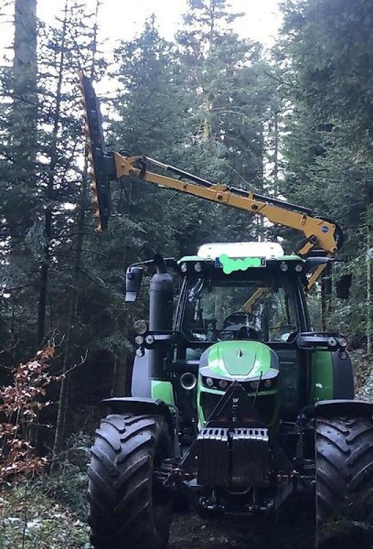 Astschere του τύπου Sonstige Astschere Heckenschere Baumschere Baumsäge, Gebrauchtmaschine σε Schmallenberg (Φωτογραφία 4)