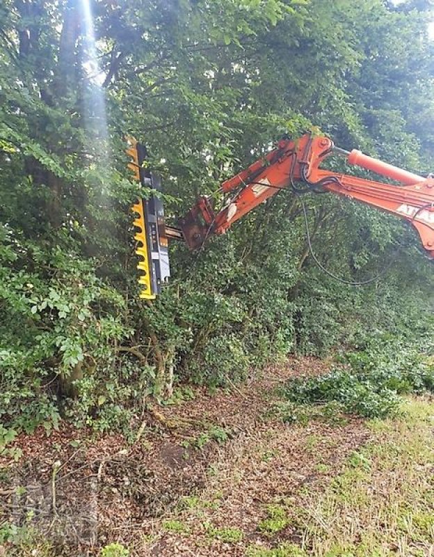 Astschere tipa Sonstige Astschere Heckenschere Baumschere Baumsäge, Gebrauchtmaschine u Schmallenberg (Slika 2)