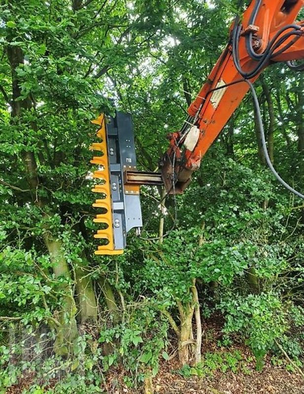 Astschere du type Sonstige Astschere Heckenschere Baumschere Baumsäge, Gebrauchtmaschine en Schmallenberg (Photo 8)