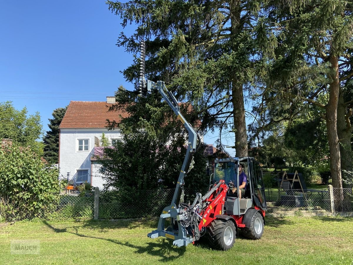 Astschere des Typs Sonstige Frontoni Spider Ausleger mit Heckenschere, Neumaschine in Burgkirchen (Bild 1)