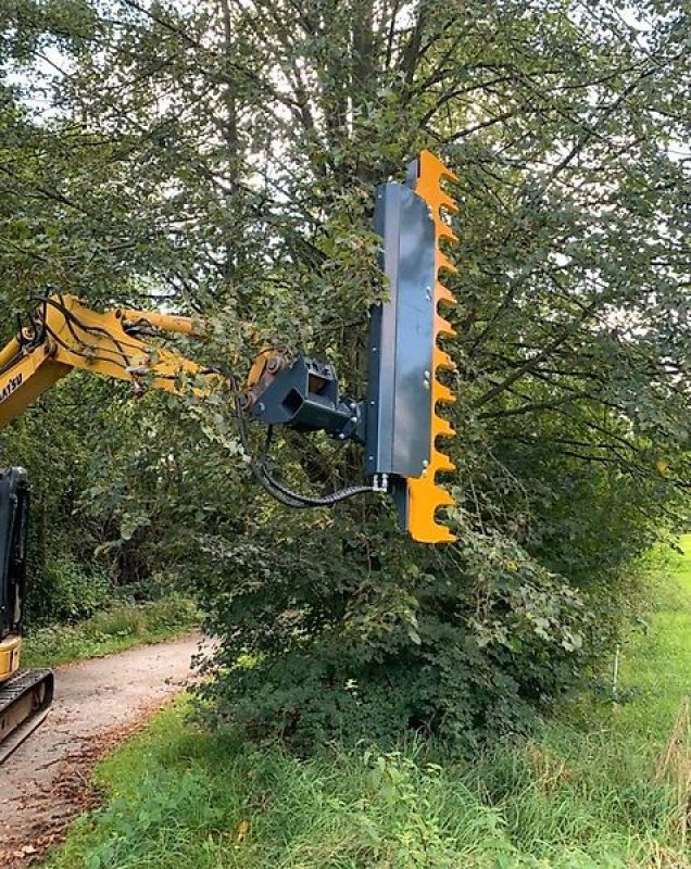Astschere des Typs Sonstige Heckenschere Astschere Baumschere Baumsäge, Gebrauchtmaschine in Schmallenberg (Bild 9)