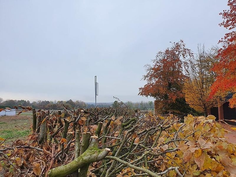 Astschere типа Sonstige Heckenschere Astschere Baumschere Schere Baumsäge, Gebrauchtmaschine в Schmallenberg (Фотография 5)