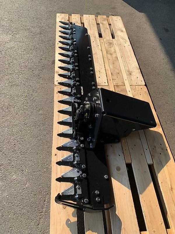 Astschere του τύπου Sonstige Heckenschere Astschere Baumschere Schere Baumsäge, Gebrauchtmaschine σε Schmallenberg (Φωτογραφία 1)