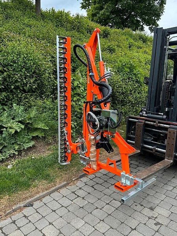 Astschere του τύπου Sonstige Rinieri Heckenschneider Heckenschere Astschere Mulchkopf Auslege, Gebrauchtmaschine σε Schmallenberg (Φωτογραφία 5)