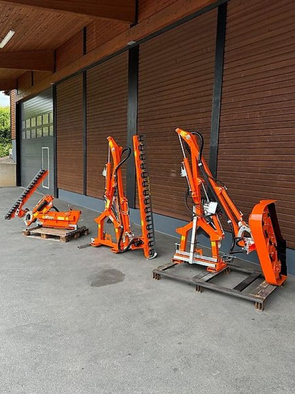 Astschere του τύπου Sonstige Rinieri Heckenschneider Heckenschere Astschere Mulchkopf Auslege, Gebrauchtmaschine σε Schmallenberg (Φωτογραφία 1)