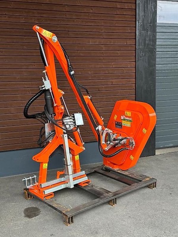 Astschere του τύπου Sonstige Rinieri Heckenschneider Heckenschere Astschere Mulchkopf Auslege, Gebrauchtmaschine σε Schmallenberg (Φωτογραφία 3)