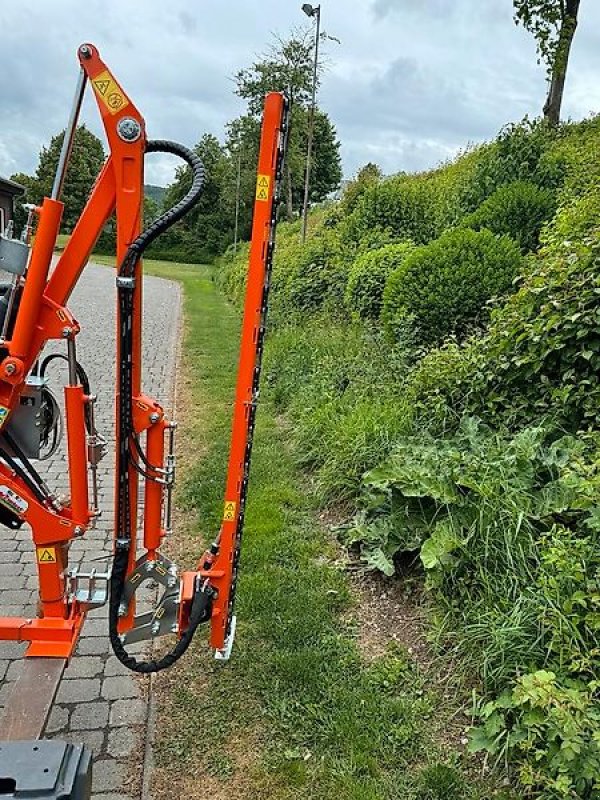 Astschere του τύπου Sonstige Rinieri Heckenschneider Heckenschere Astschere Mulchkopf Auslege, Gebrauchtmaschine σε Schmallenberg (Φωτογραφία 7)