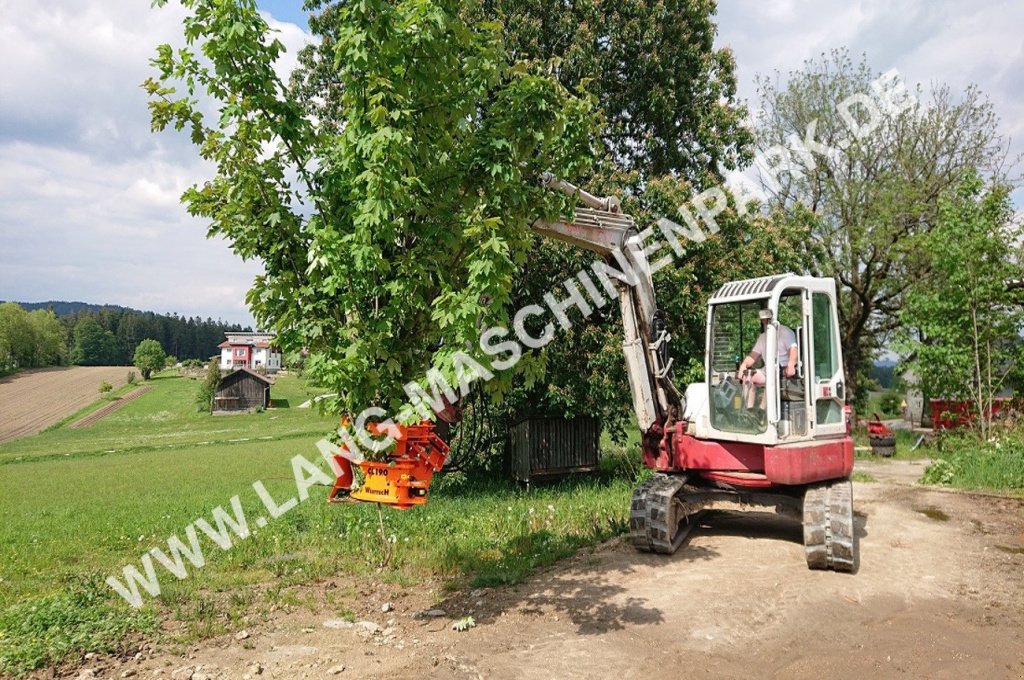 Astschere του τύπου westtech CL Serie Fällgreifer, Neumaschine σε Petting (Φωτογραφία 12)