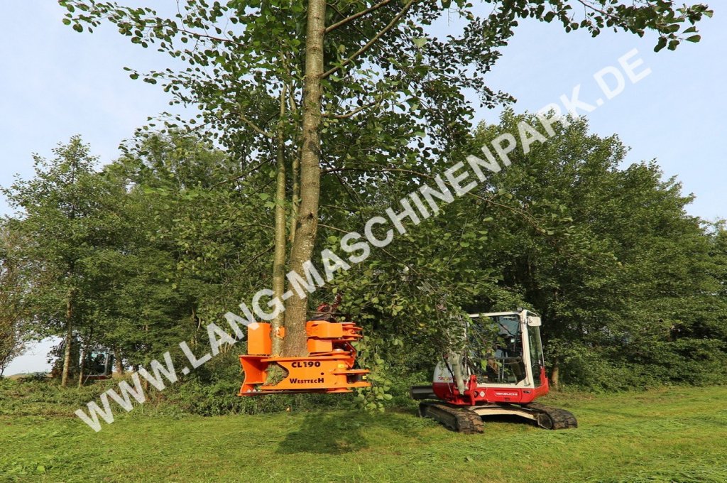 Astschere του τύπου westtech CL Serie Fällgreifer, Neumaschine σε Petting (Φωτογραφία 3)