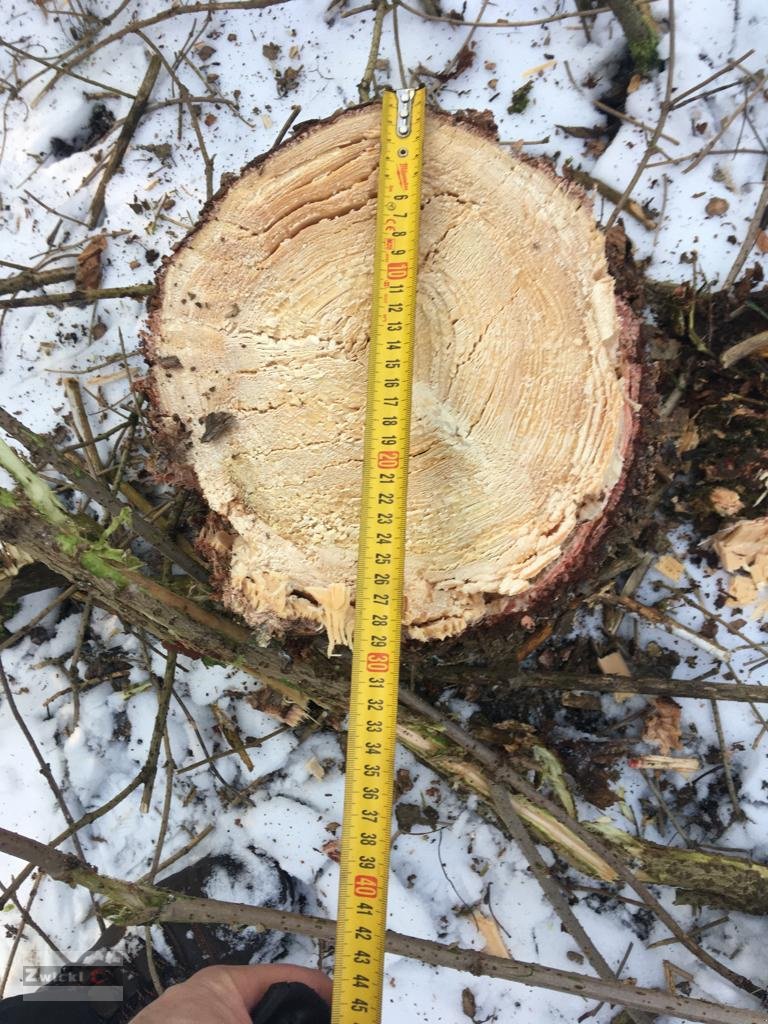 Astschere του τύπου Zwicki Z1-240, Neumaschine σε Pfarrkirchen (Φωτογραφία 7)