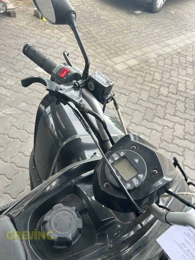 ATV & Quad типа Aeon Cobra 300S, Gebrauchtmaschine в Wesseling-Berzdorf (Фотография 5)