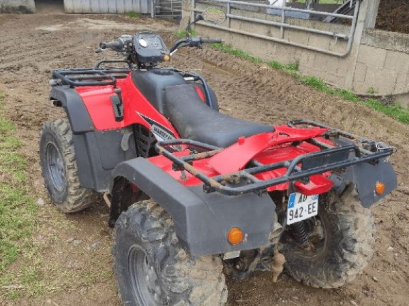 ATV & Quad du type CAT 300, Gebrauchtmaschine en COGNAC LA FORET (Photo 1)