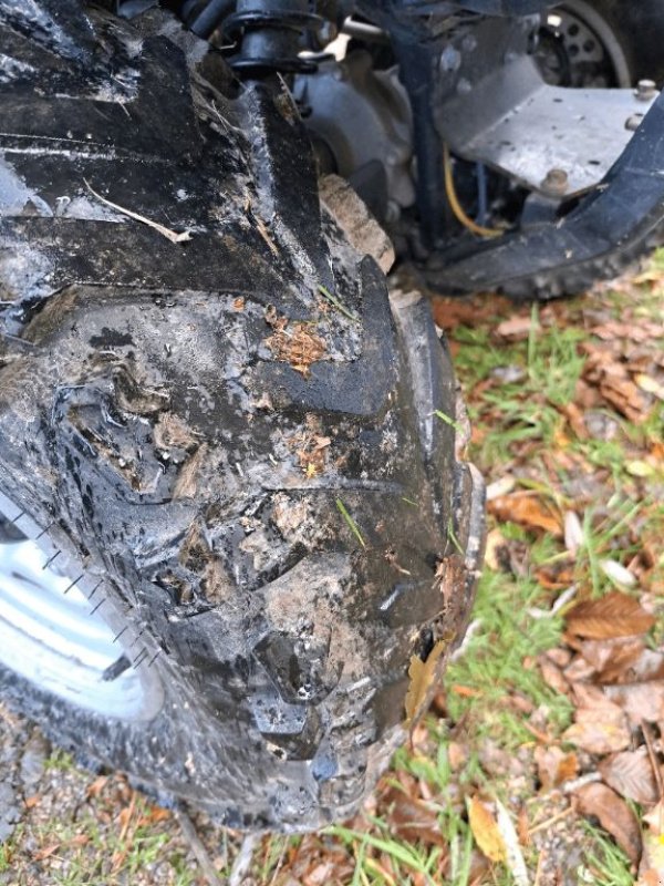 ATV & Quad typu CAT 300, Gebrauchtmaschine v COGNAC LA FORET (Obrázek 6)