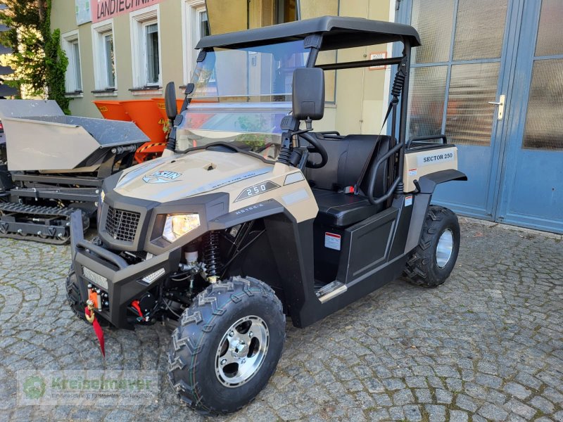 ATV & Quad des Typs Hisun Sector 250 sand / beige + Seilwinde + StVZO Zulassungspapiere NEU UTV, Neumaschine in Feuchtwangen