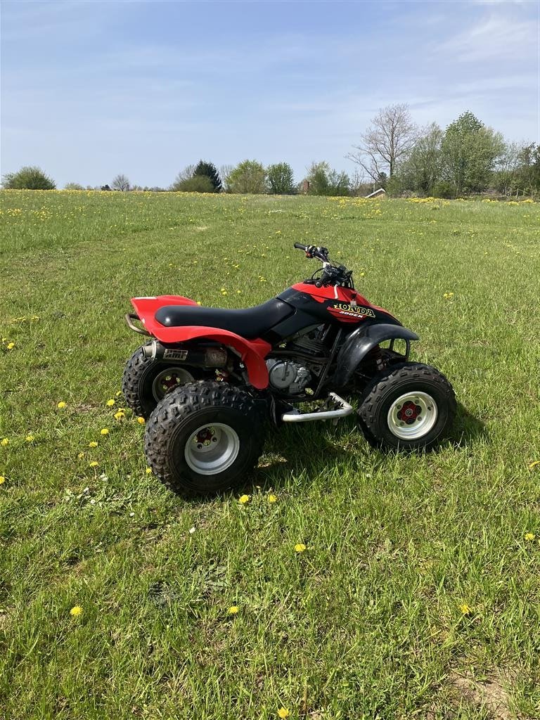 ATV & Quad des Typs Honda TRX300EX, Gebrauchtmaschine in Glamsbjerg (Bild 5)