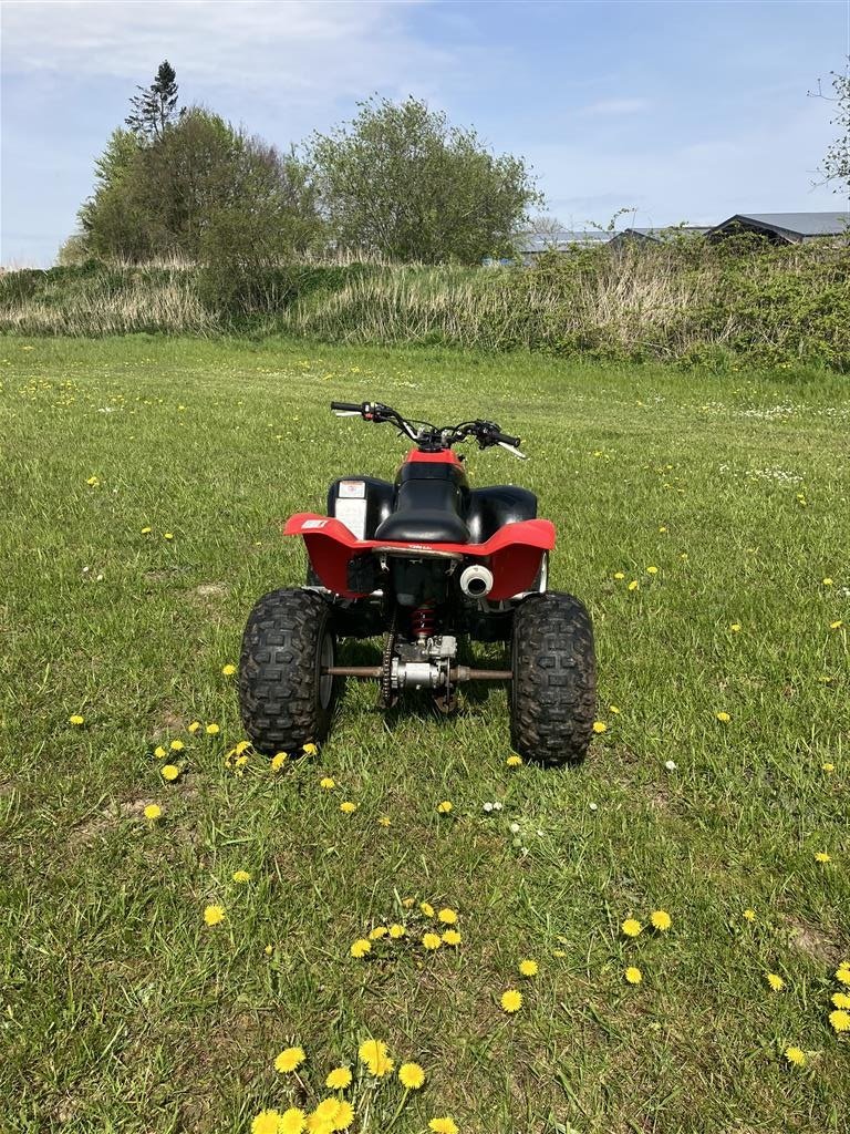 ATV & Quad des Typs Honda TRX300EX, Gebrauchtmaschine in Glamsbjerg (Bild 3)