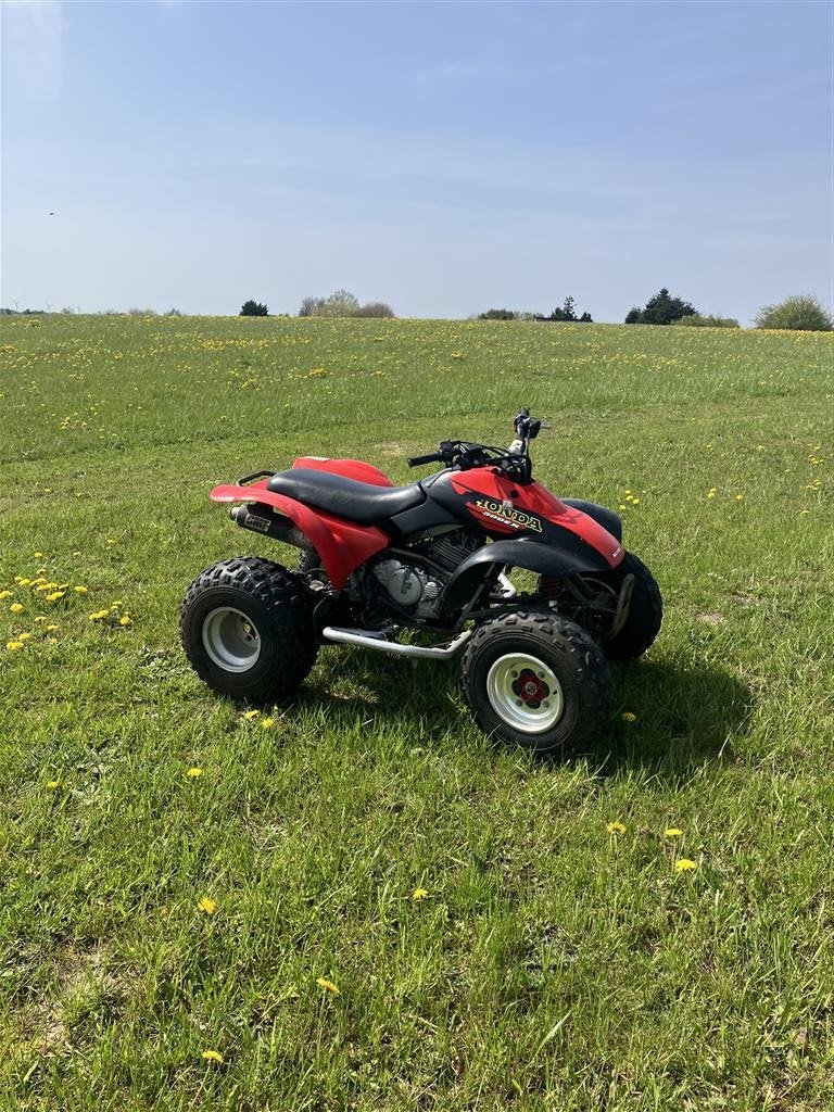 ATV & Quad des Typs Honda TRX300EX, Gebrauchtmaschine in Glamsbjerg (Bild 4)