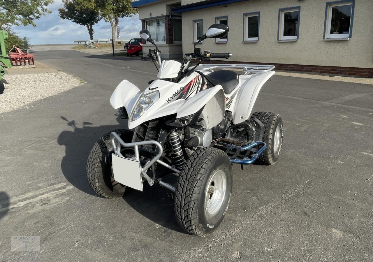 ATV & Quad des Typs Kymco Maxxer 250, Gebrauchtmaschine in Pragsdorf (Bild 1)