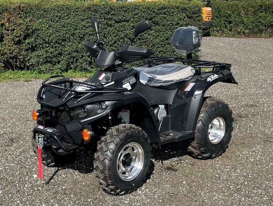 ATV & Quad a típus Linhai 300 4X4 T3A med spil, Gebrauchtmaschine ekkor: Dronninglund (Kép 1)