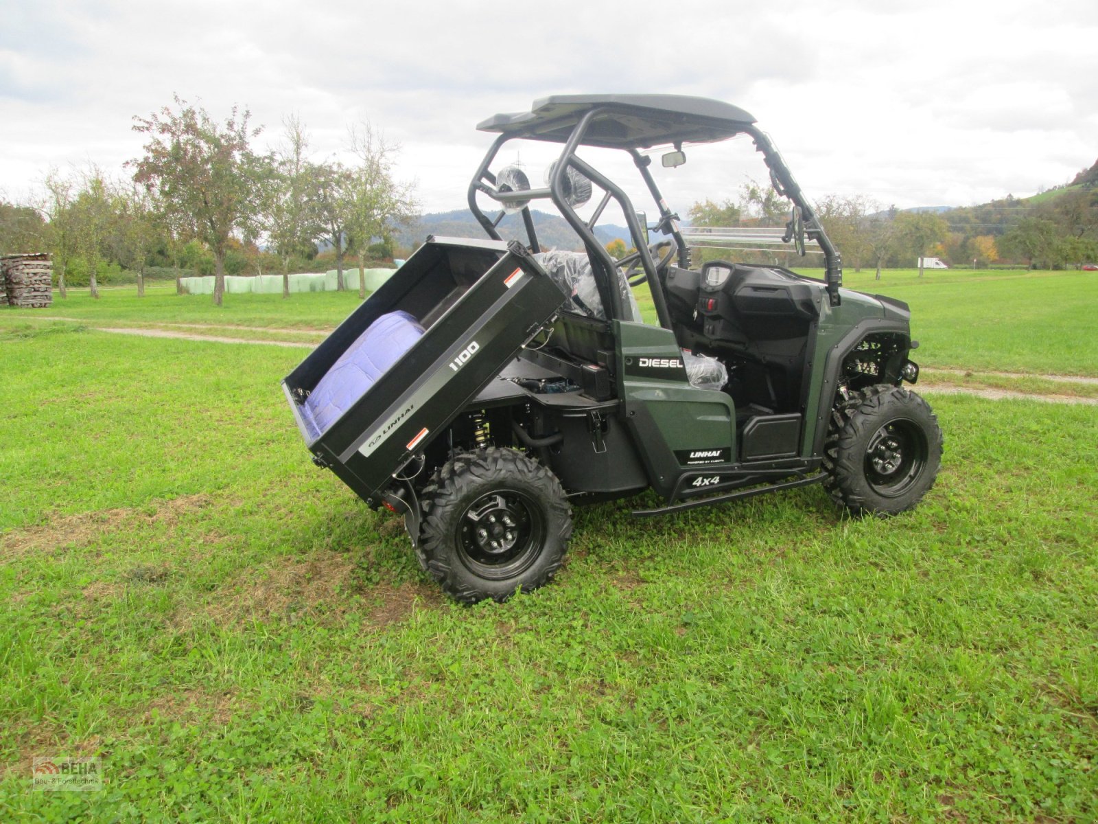 ATV & Quad des Typs Linhai UTV LH 1100 U-Diesel, Neumaschine in Steinach (Bild 10)