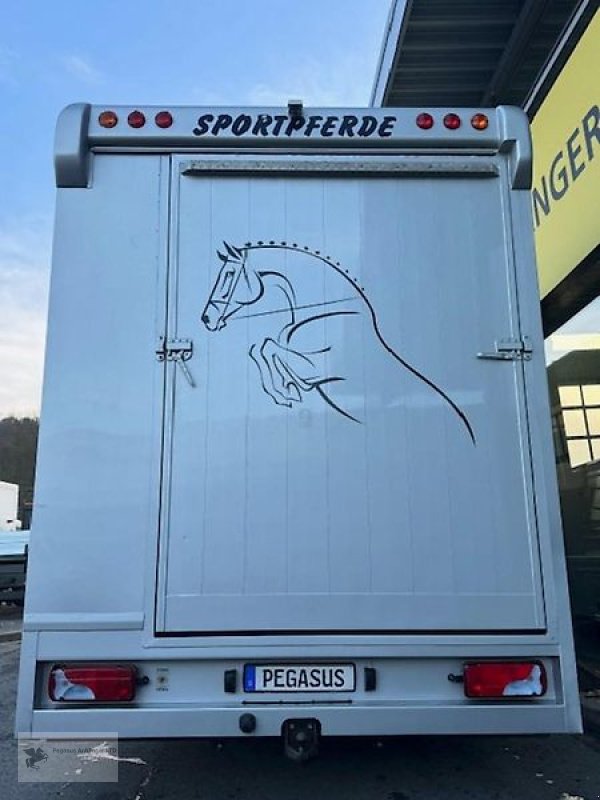 ATV & Quad des Typs MAN TGL 8.180 Pferdetransporter Pferdelkw 3/4 Pferde Wohnabteil, Gebrauchtmaschine in Gevelsberg (Bild 7)