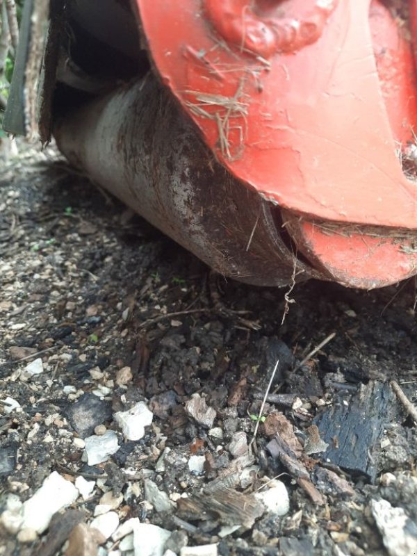 ATV & Quad typu Maschio birba 115, Gebrauchtmaschine v CHEMAUDIN ET VAUX (Obrázek 5)