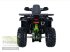 ATV & Quad des Typs P.Lindberg GmbH Quad Hunter 200  Arbeits- und Freizeit Offroad-Einsatz, Neumaschine in Großenwiehe (Bild 4)