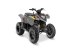 ATV & Quad typu Polaris Phoenix 200, Gebrauchtmaschine w Rødding (Zdjęcie 1)