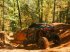 ATV & Quad za tip Polaris Quad - transporteur RZR64XP1000 SPORT EPS Polaris, Gebrauchtmaschine u LA SOUTERRAINE (Slika 9)