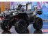 ATV & Quad of the type Polaris SPORTSMAN 570 X2, Gebrauchtmaschine in Hadsten (Picture 1)