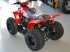 ATV & Quad za tip Sonstige 100 Racing Edition, Gebrauchtmaschine u Glamsbjerg (Slika 3)