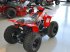 ATV & Quad za tip Sonstige 100 Racing Edition, Gebrauchtmaschine u Glamsbjerg (Slika 4)