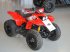 ATV & Quad za tip Sonstige 100 Racing Edition, Gebrauchtmaschine u Glamsbjerg (Slika 1)