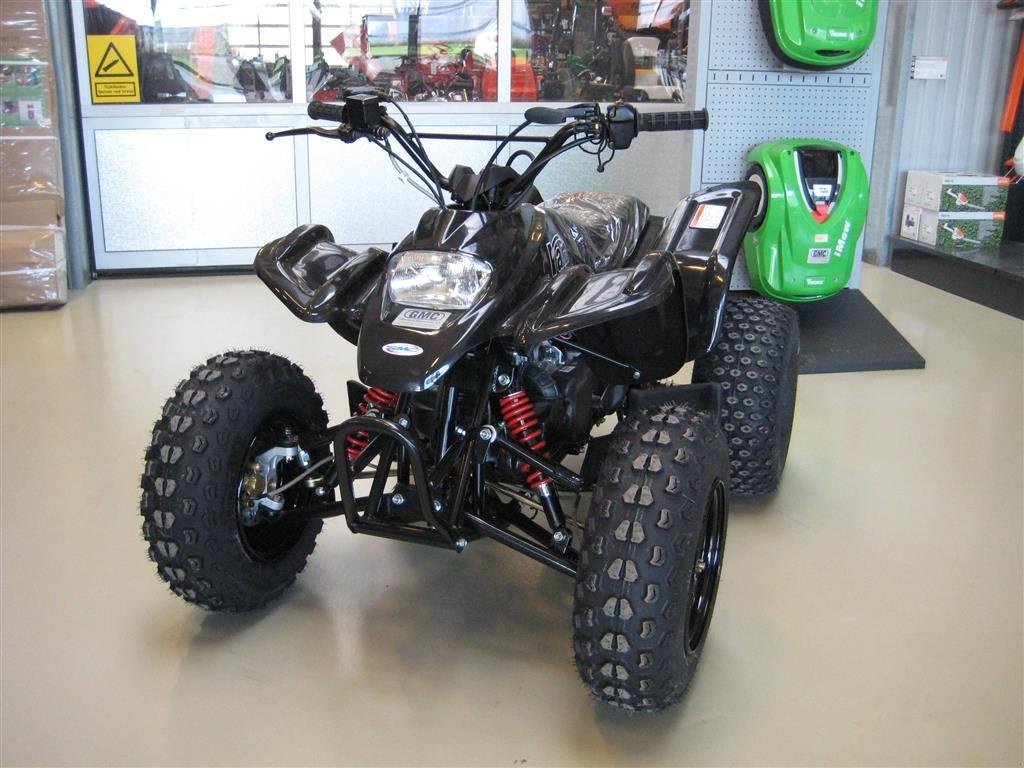 ATV & Quad типа Sonstige 100 Racing Edition, Gebrauchtmaschine в Glamsbjerg (Фотография 1)