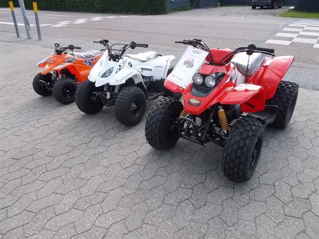 ATV & Quad des Typs Sonstige 50-90-100 ccm, Gebrauchtmaschine in Roslev (Bild 2)