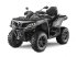 ATV & Quad des Typs Sonstige 850 Gray Edition, Gebrauchtmaschine in Vodskov (Bild 4)