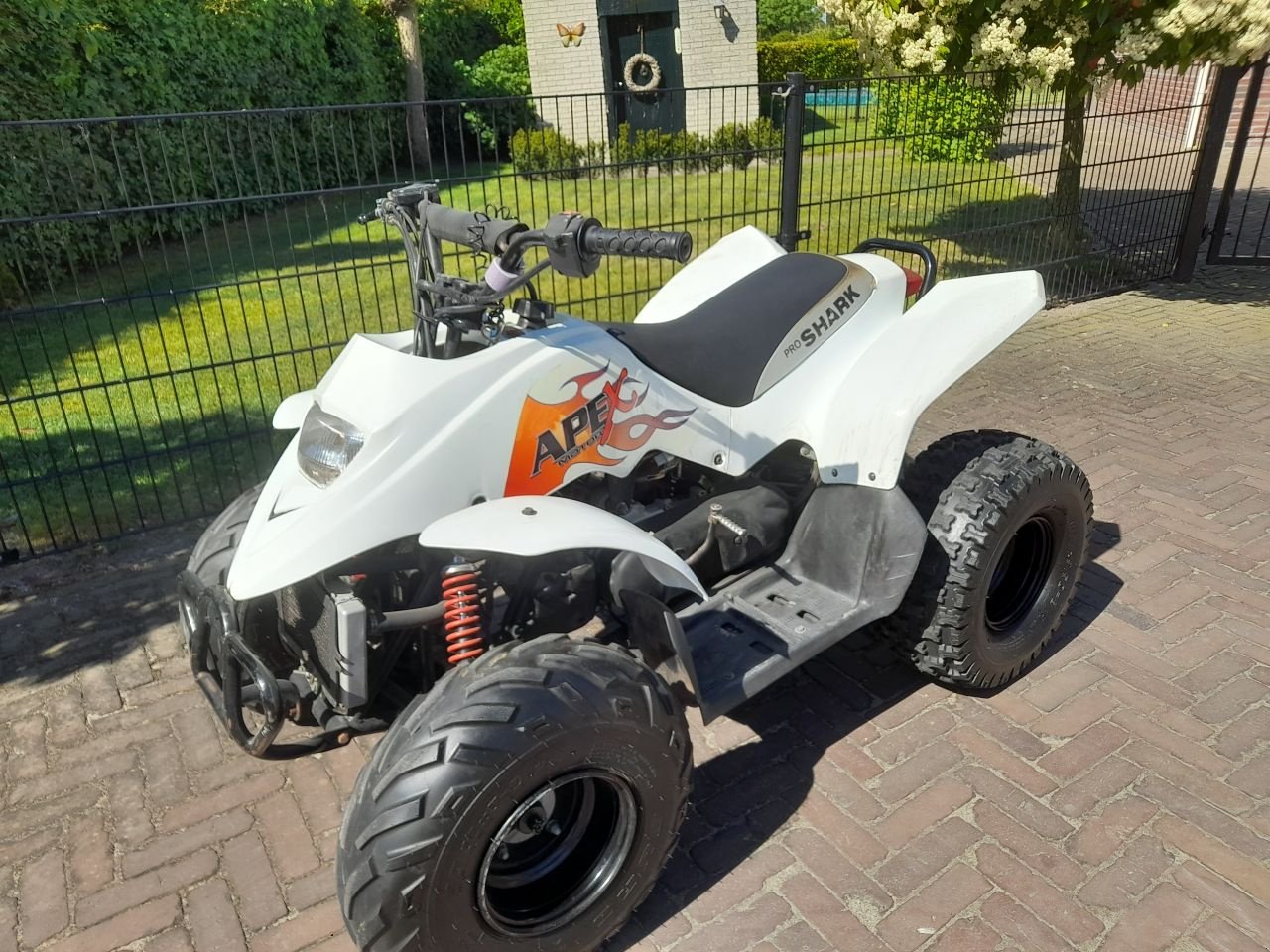 ATV & Quad del tipo Sonstige Apex Pro Shark, Gebrauchtmaschine In Veenendaal (Immagine 2)
