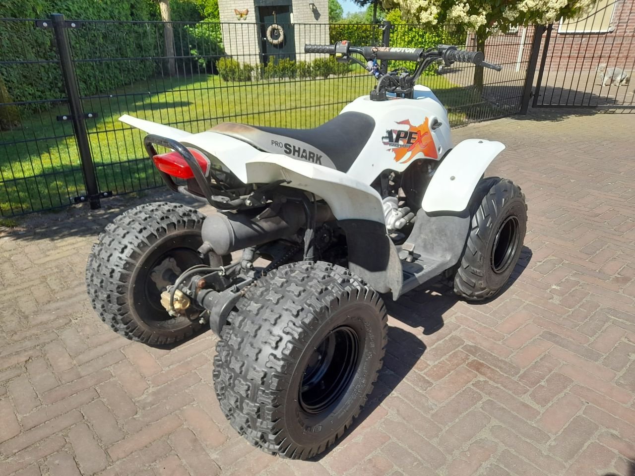 ATV & Quad del tipo Sonstige Apex Pro Shark, Gebrauchtmaschine In Veenendaal (Immagine 4)