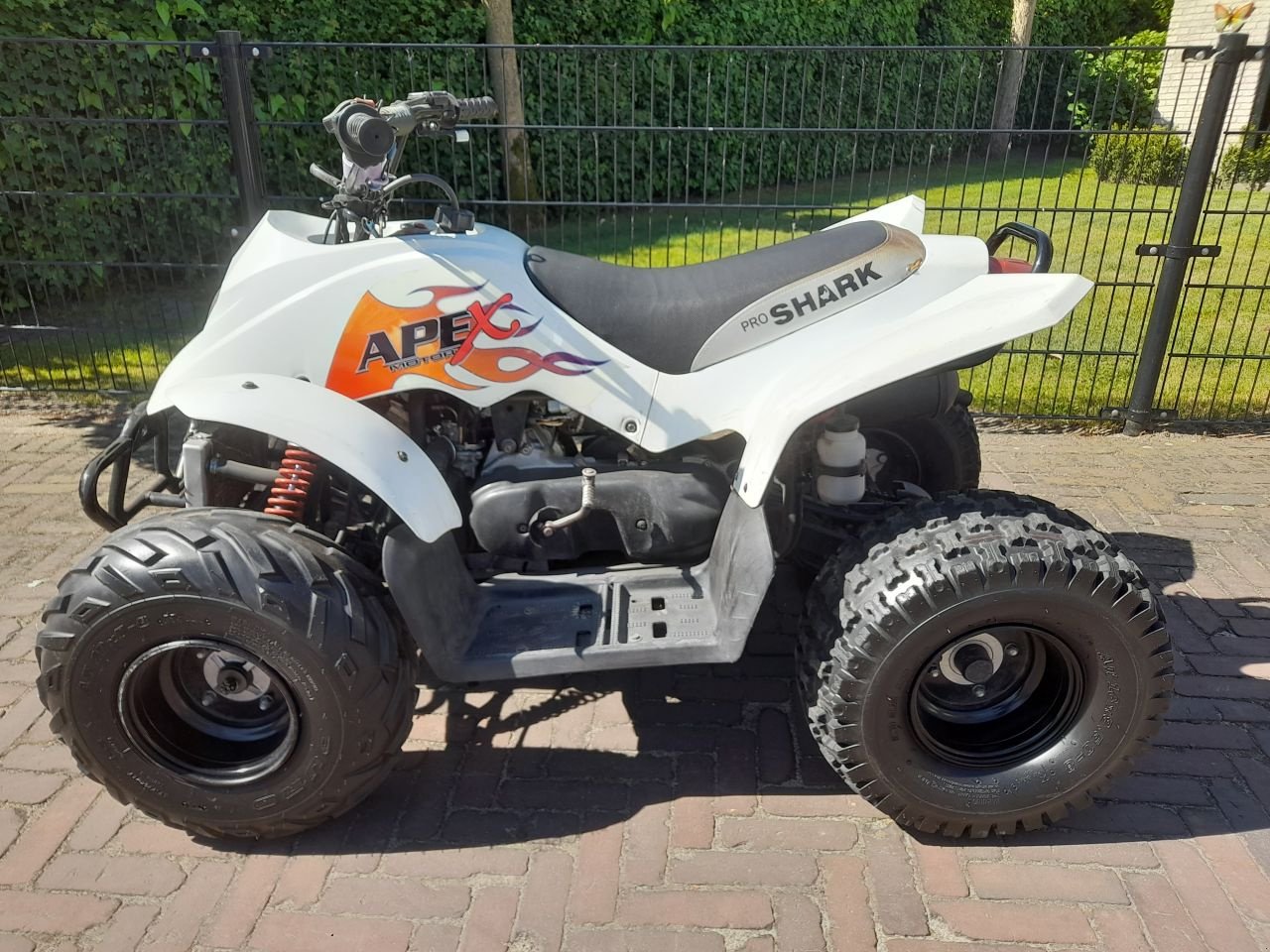 ATV & Quad del tipo Sonstige Apex Pro Shark, Gebrauchtmaschine In Veenendaal (Immagine 3)