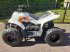 ATV & Quad del tipo Sonstige Apex Pro Shark, Gebrauchtmaschine In Veenendaal (Immagine 3)