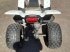 ATV & Quad del tipo Sonstige Apex Pro Shark, Gebrauchtmaschine In Veenendaal (Immagine 7)