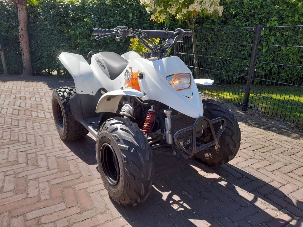 ATV & Quad del tipo Sonstige Apex Pro Shark, Gebrauchtmaschine In Veenendaal (Immagine 6)